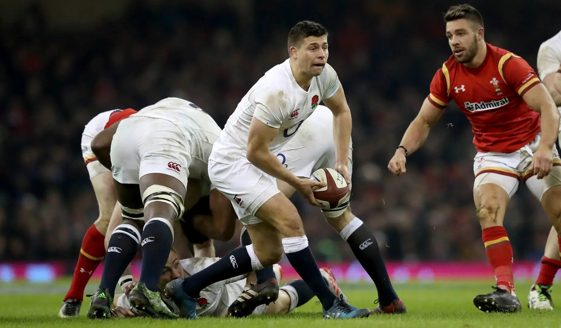 LionsWatch: Scrum-half competition heating up