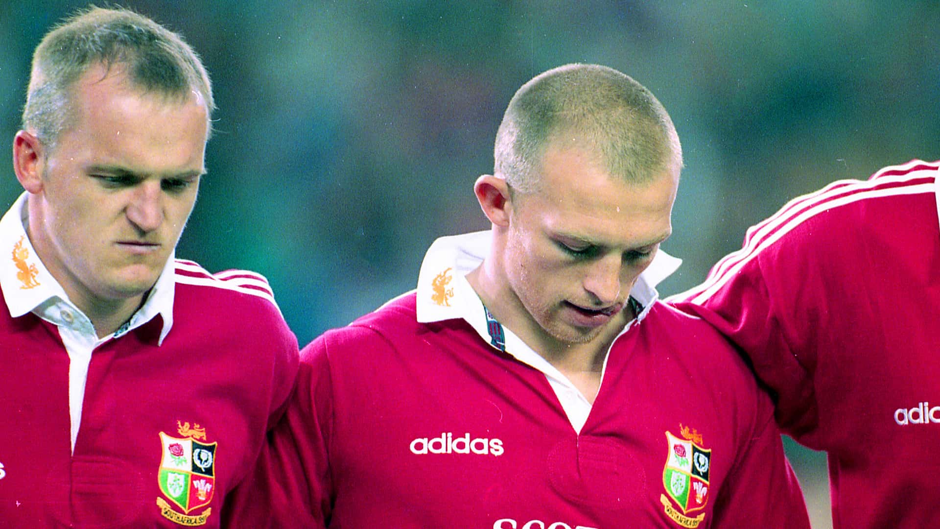 Life of a Lion: Matt Dawson