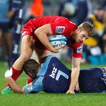 Wallaby debut for Dom