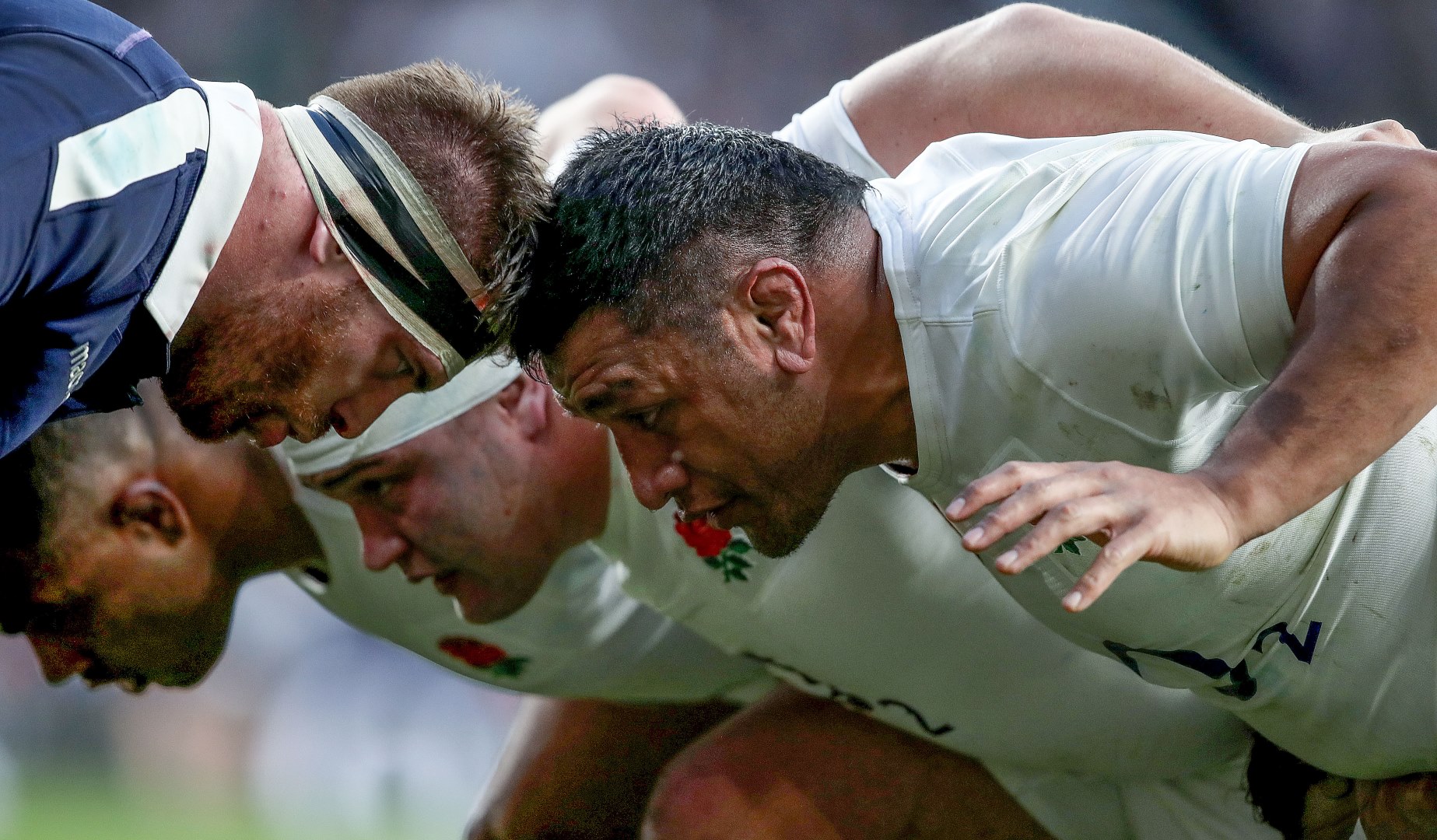 LionsWatch: Focus on loosehead props