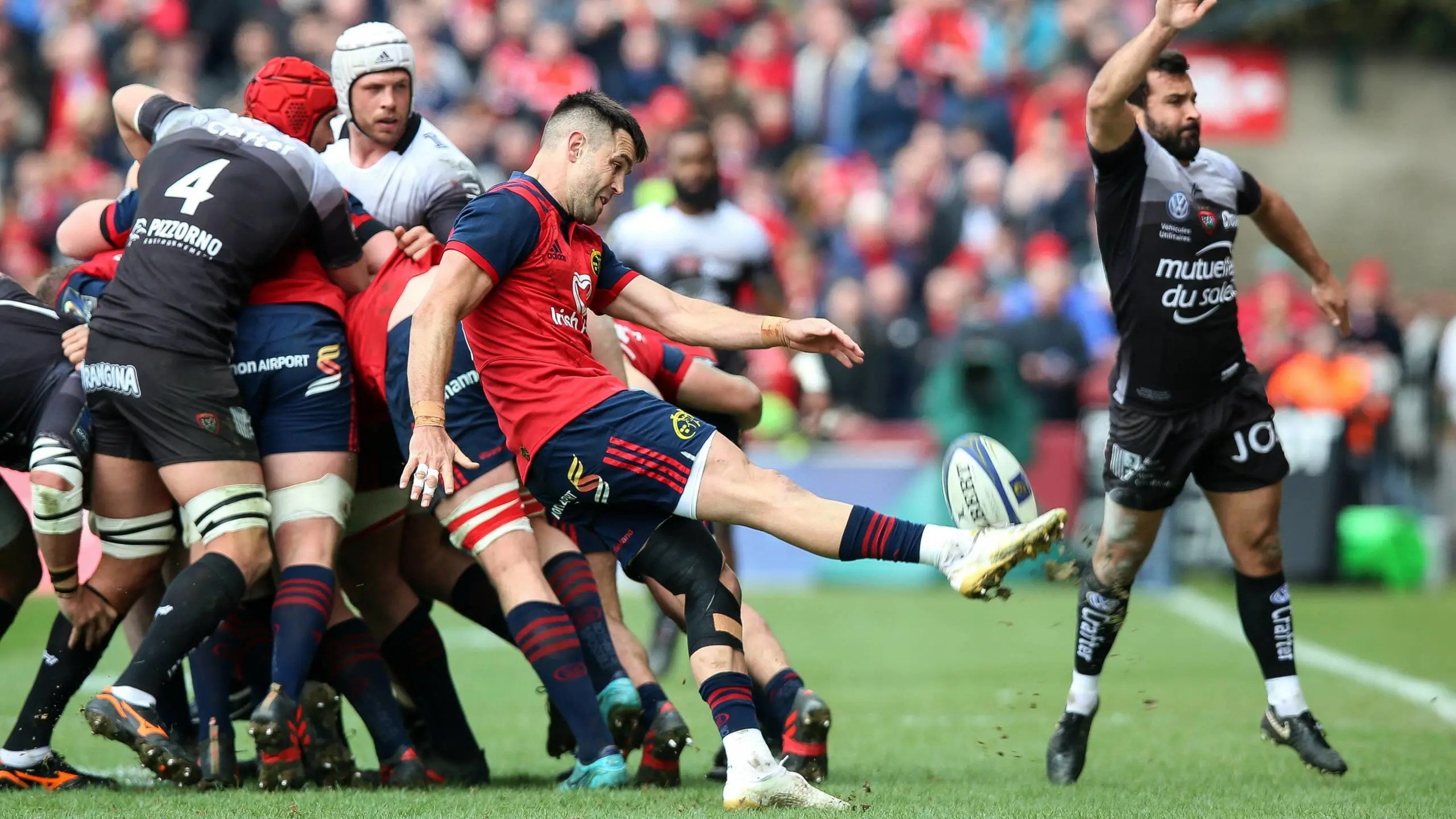 Scarlets, Munster and Leinster through to Champions Cup last four