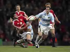 Lions link Ireland & Argentina