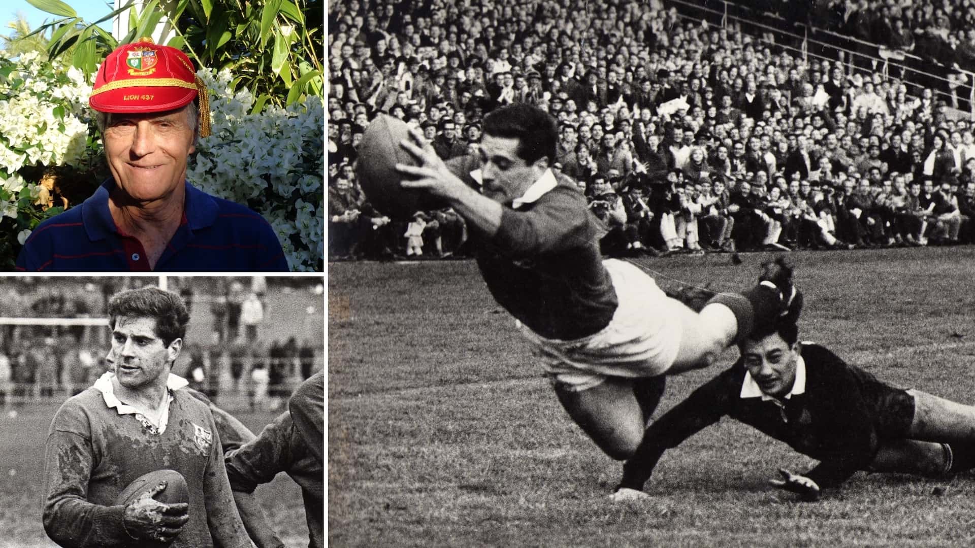 Lions Hunt: Sandy Hinshelwood