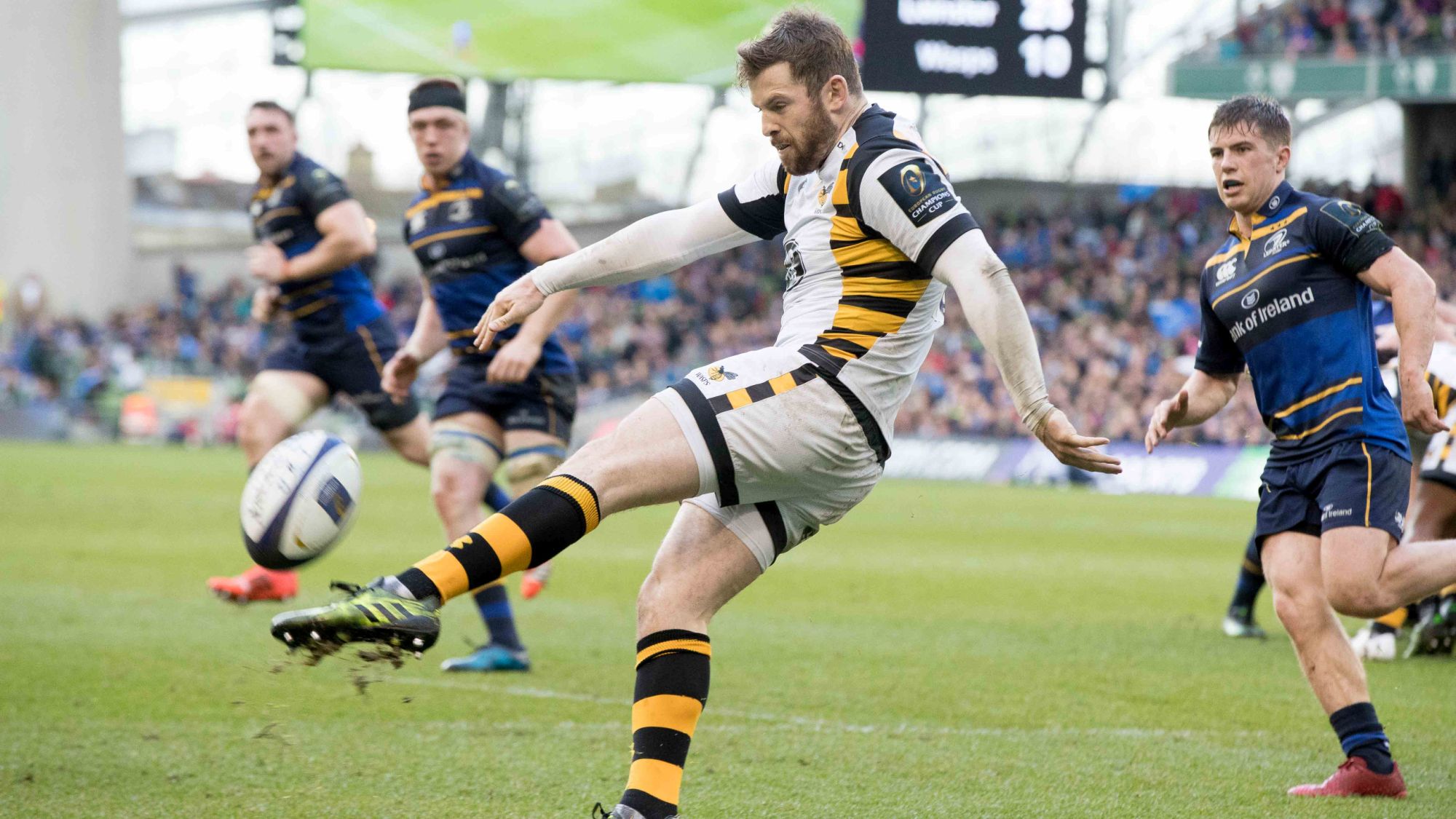 Wasps duo bid for Premiership glory