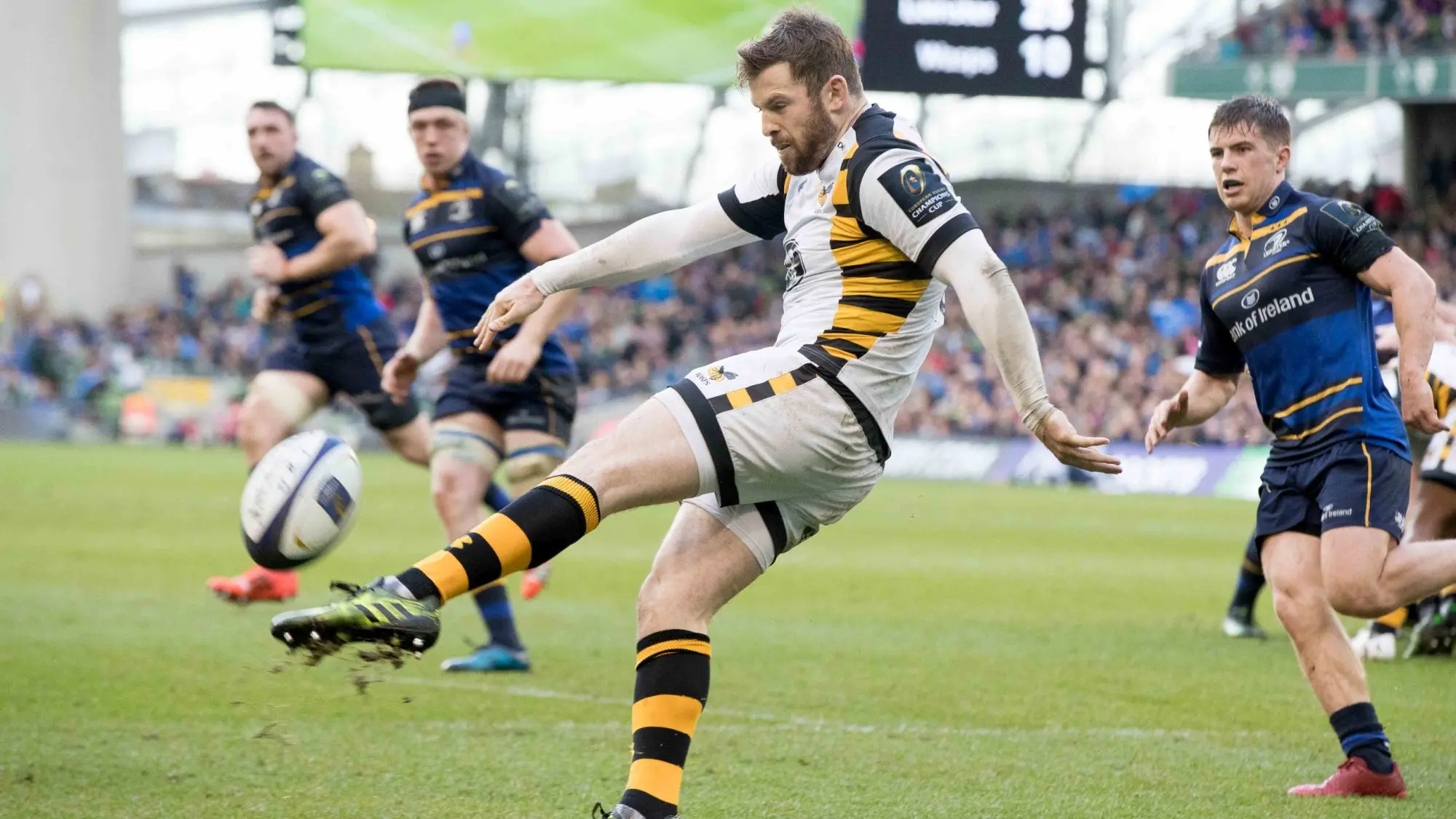 Wasps duo bid for Premiership glory