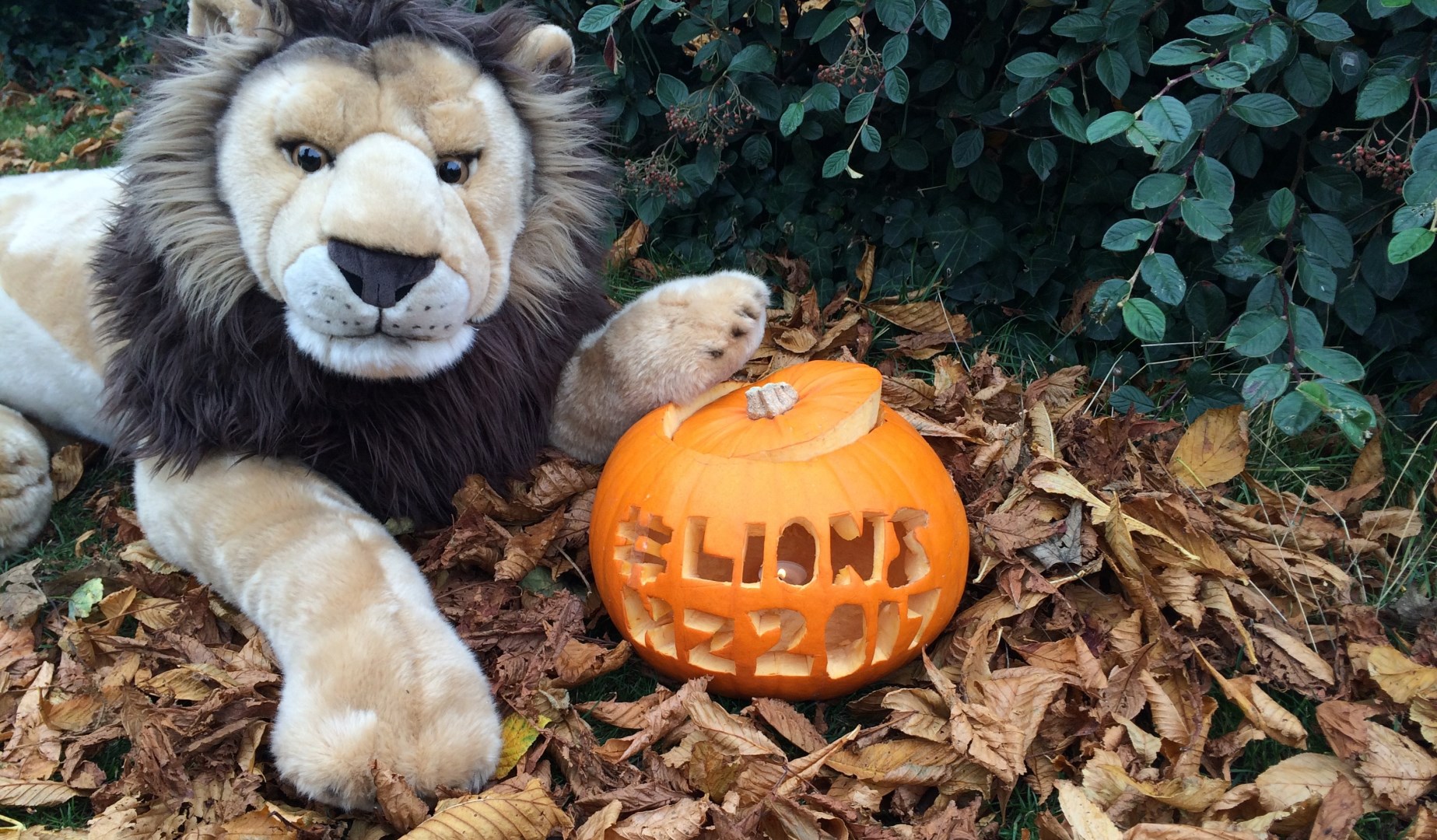 Carve a Lions pumpkin and win an official backpack!