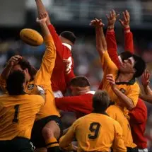 The Lions Down Under: 1989