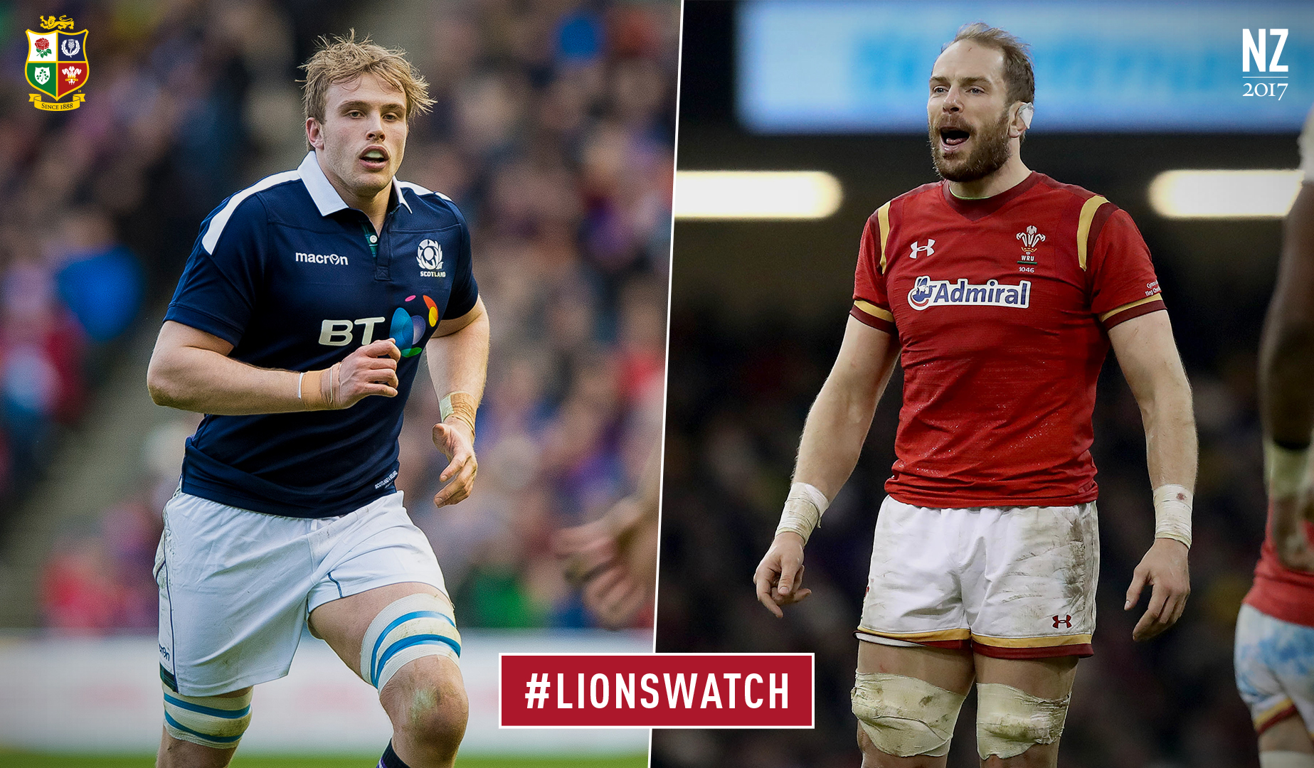 LionsWatch: Scotland v Wales preview