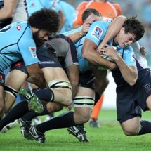 Waratahs will wait