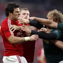 Lion finally returns