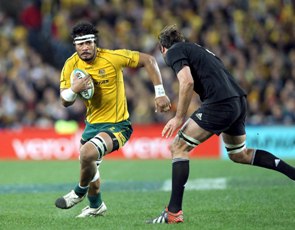 Wallabies lose another lock
