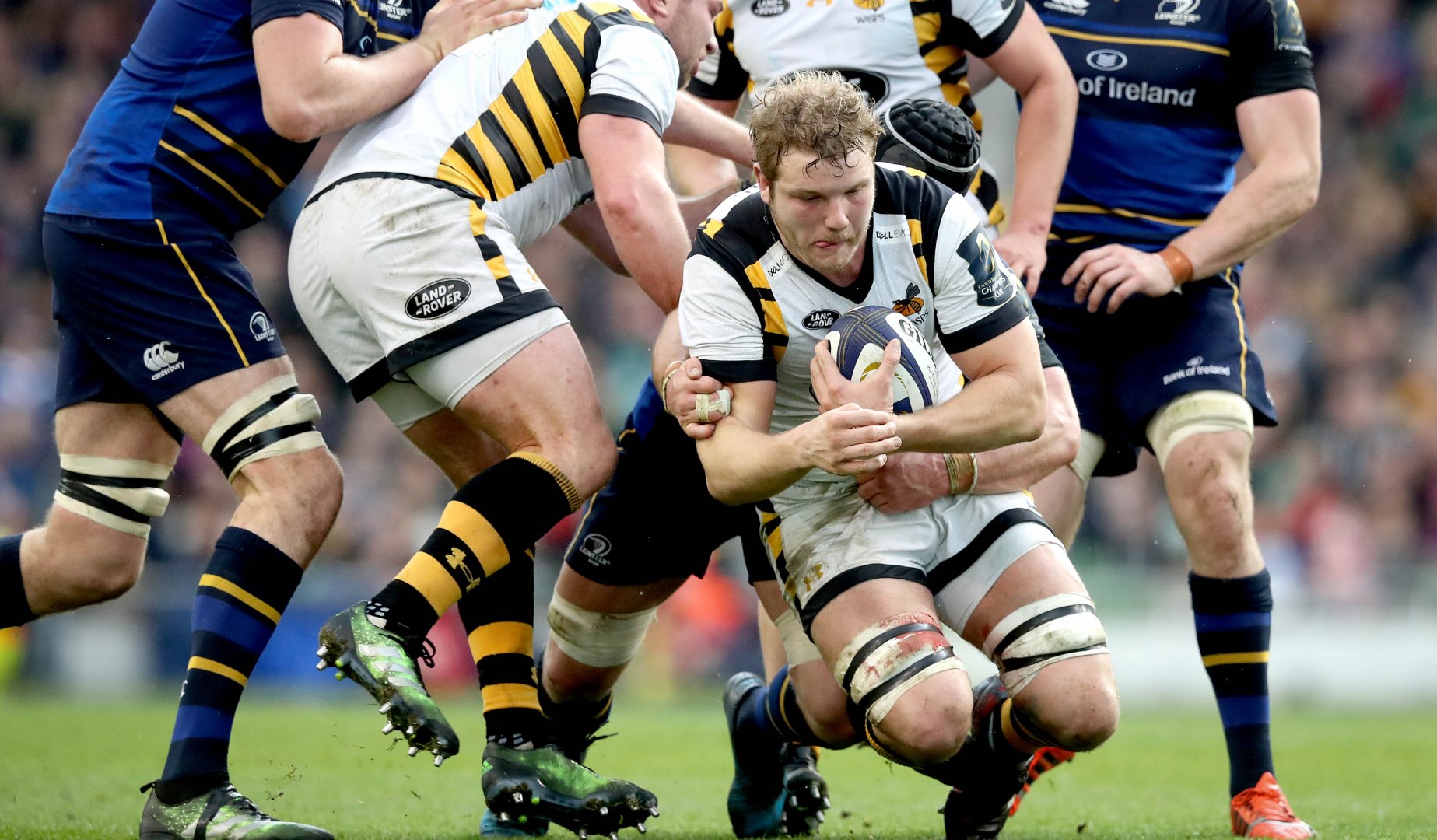 LionsWatch: Lions contenders aplenty as domestic action resumes