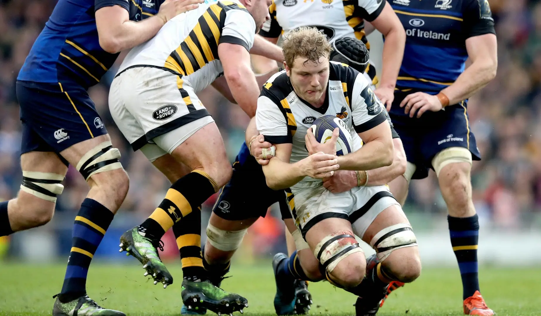 LionsWatch: Lions contenders aplenty as domestic action resumes