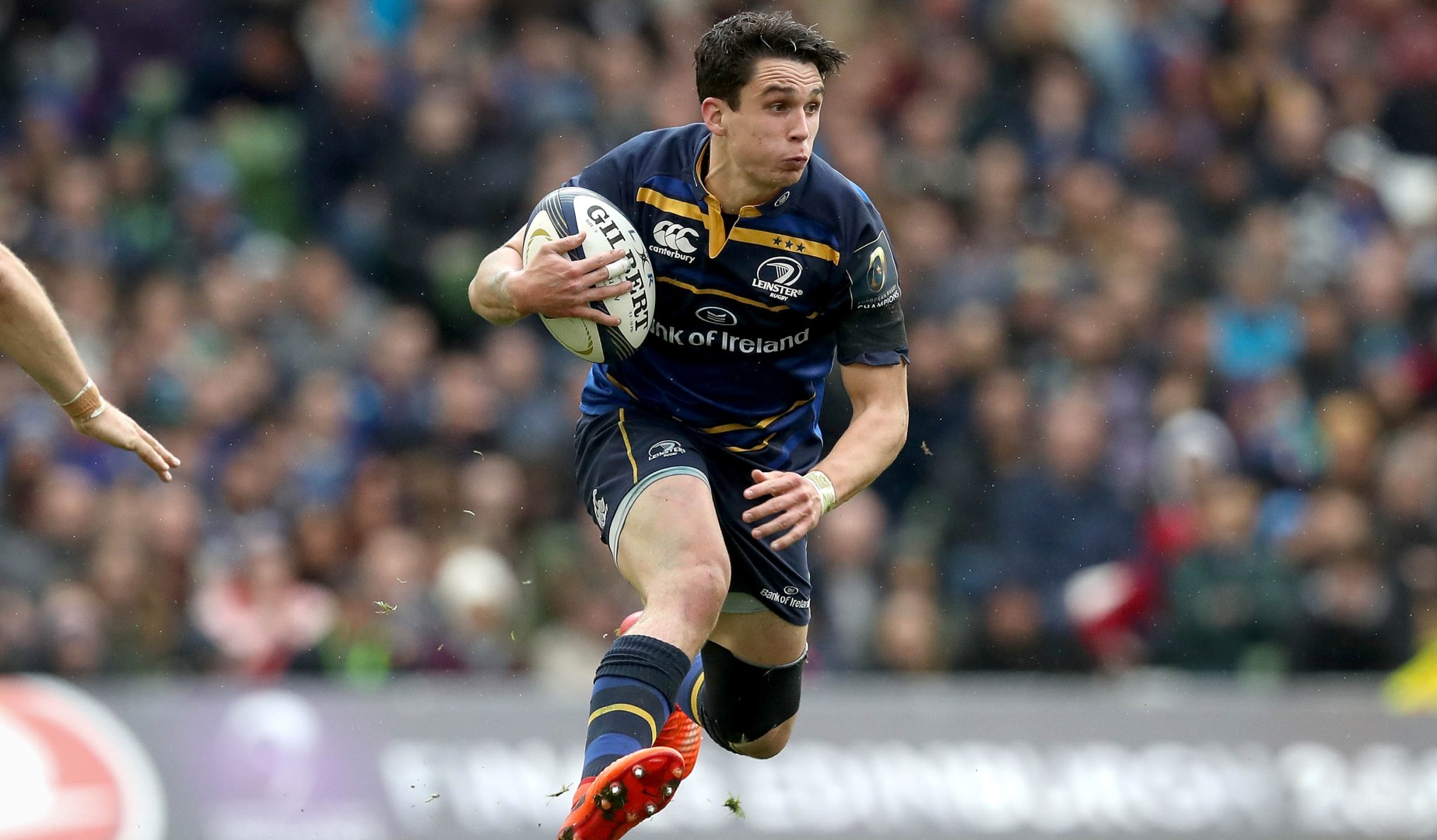 LionsWatch: Carbery and Ashton at Europe's summit