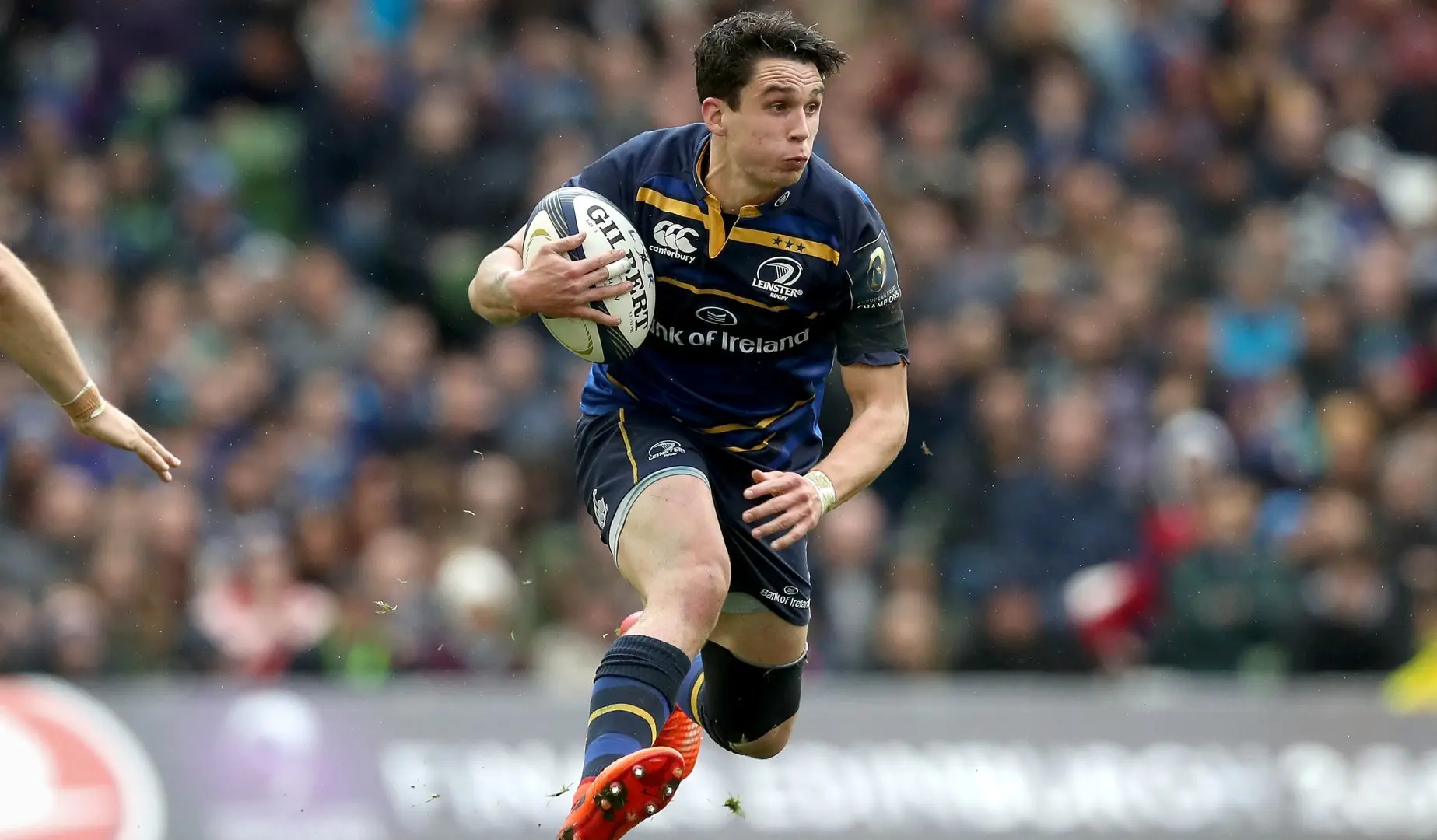 LionsWatch: Carbery and Ashton at Europe's summit