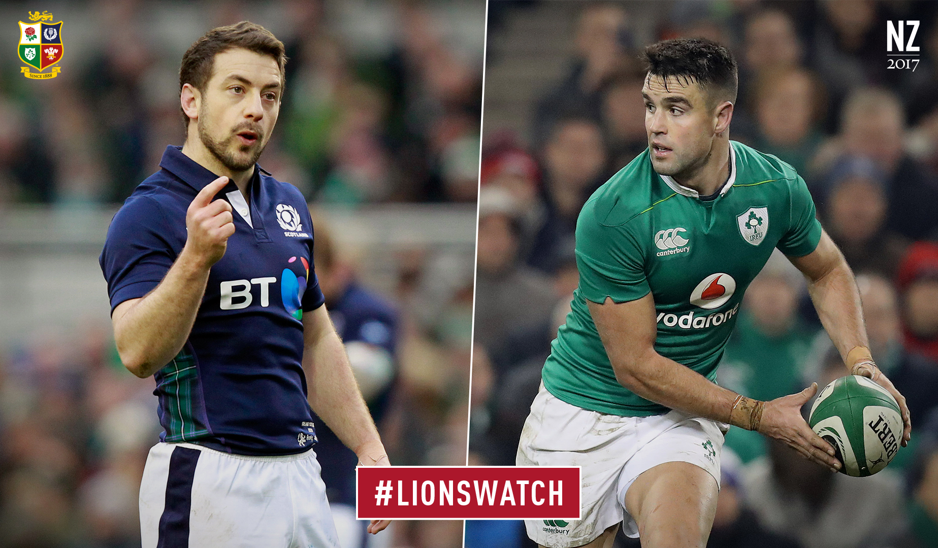 LionsWatch: Scotland v Ireland preview