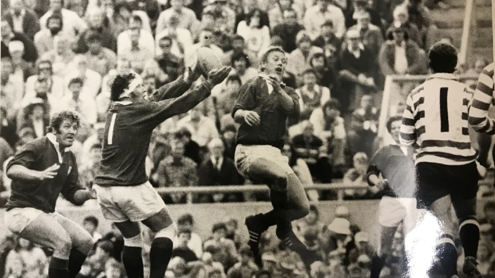 Lions Origin Club: The love affair with Porthcawl RFC