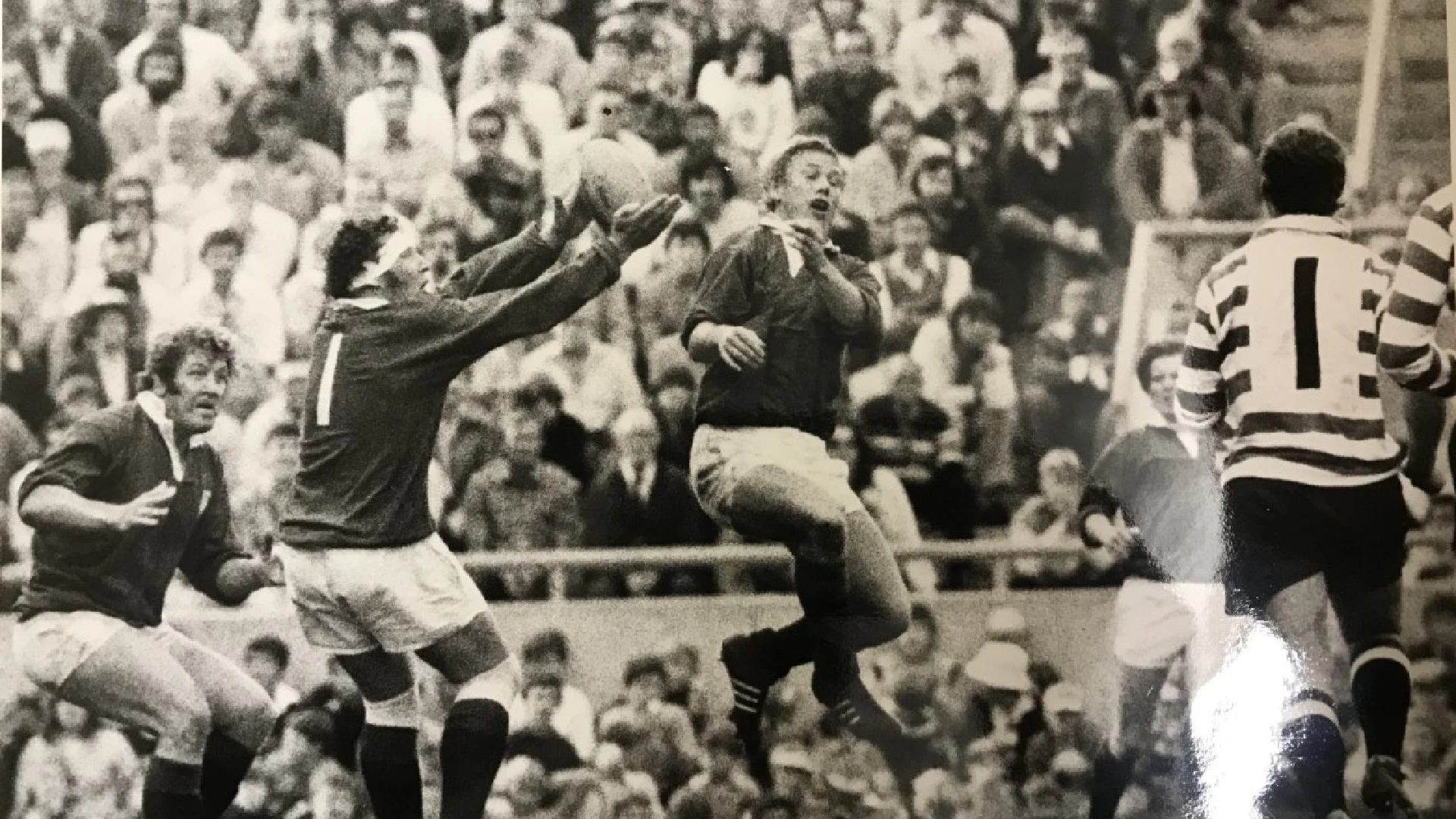 Lions Origin Club: The love affair with Porthcawl RFC