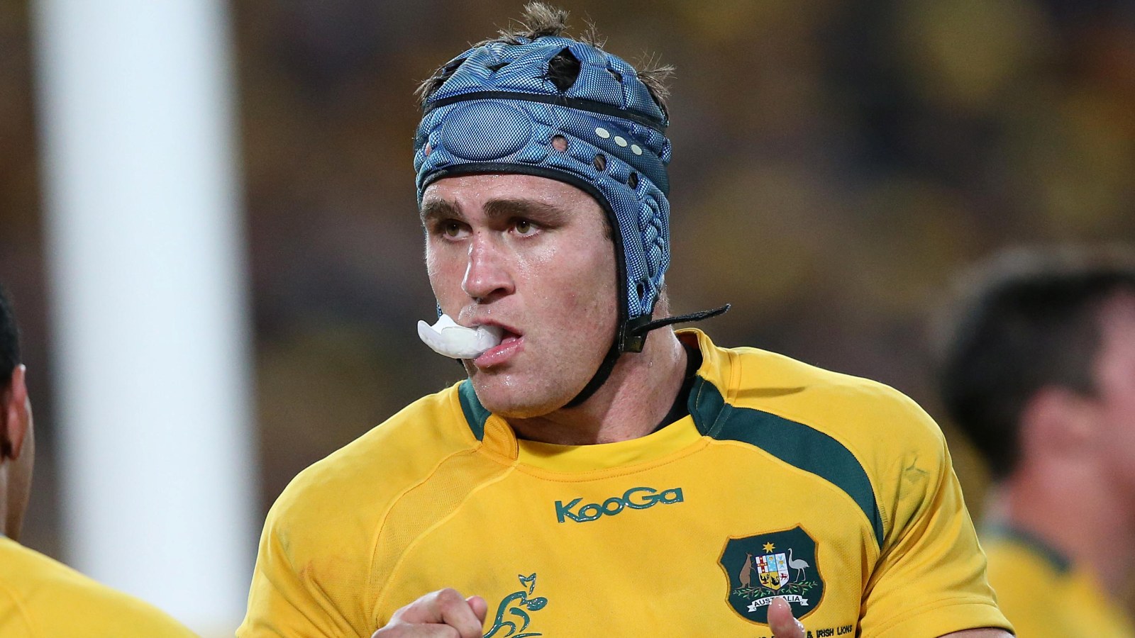 Facing the Lions: James Horwill