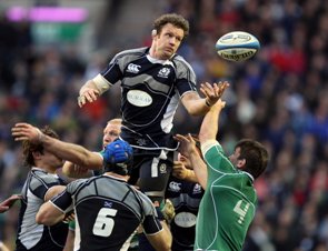 Lion White walks away