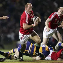 One Lion backs another