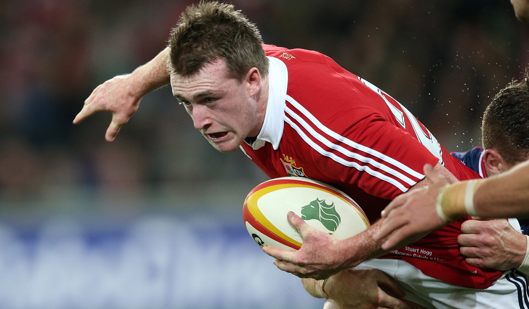 Lionswatch: Hogg fires Glasgow Warriors to emphatic win