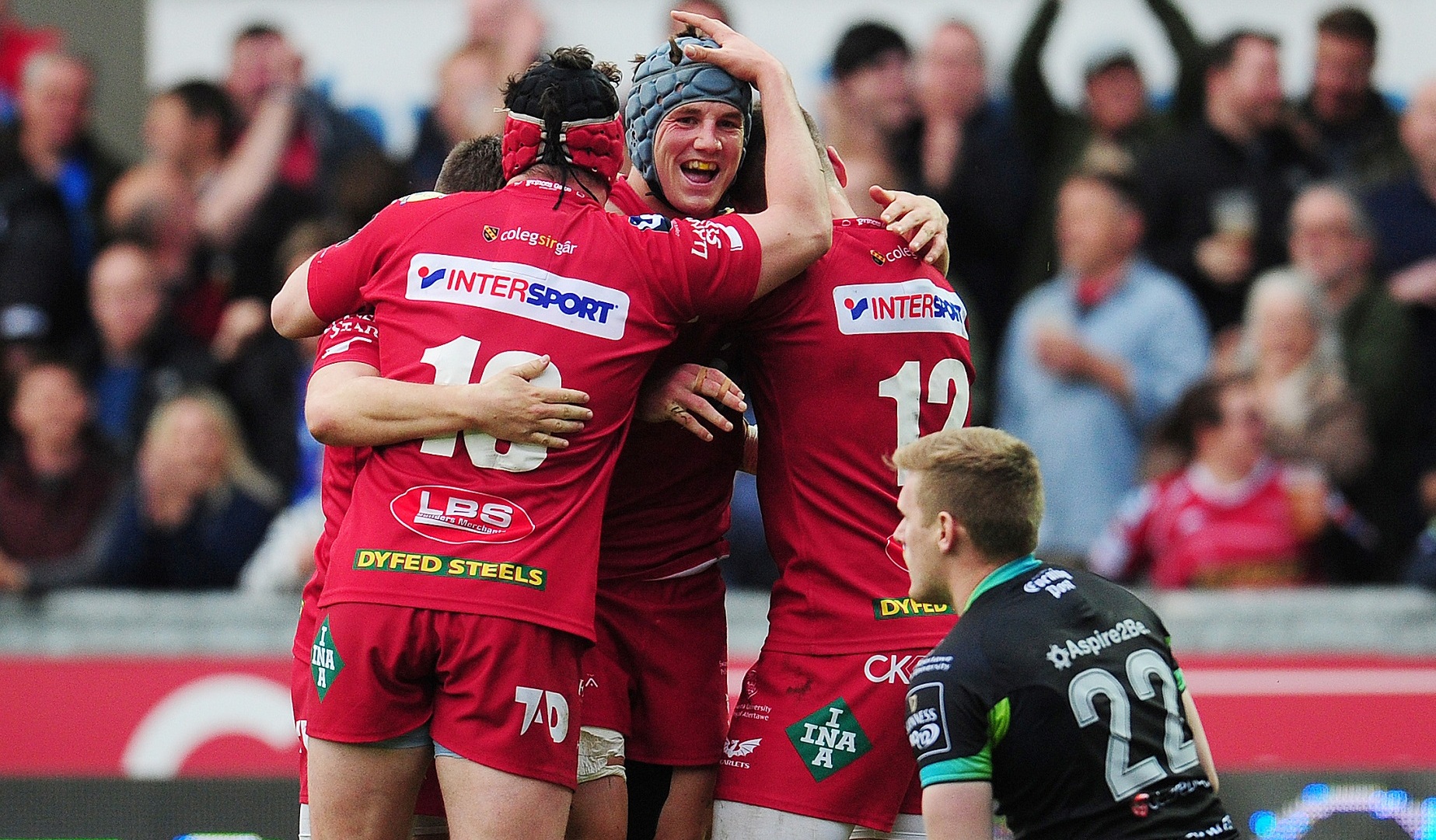 LionsWatch: Davies, Owens and Williams star as Scarlets defeat Ospreys