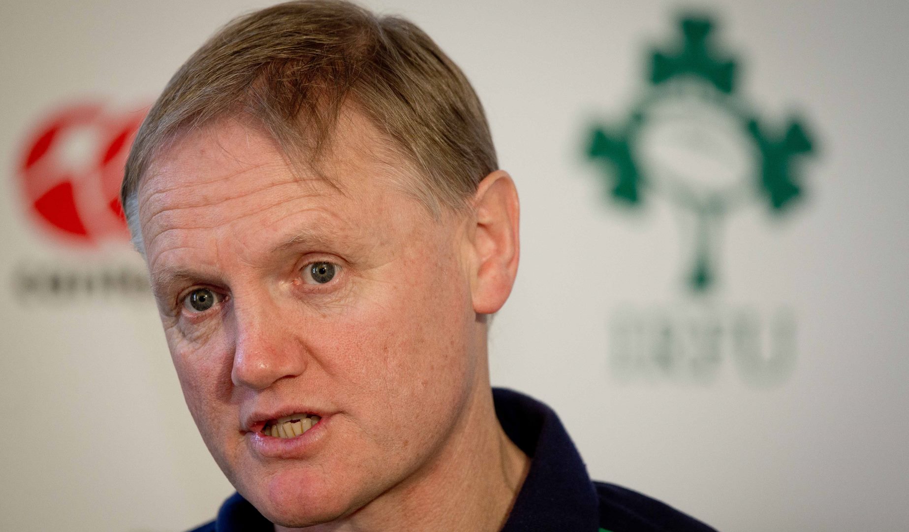 Schmidt agrees to new Ireland contract