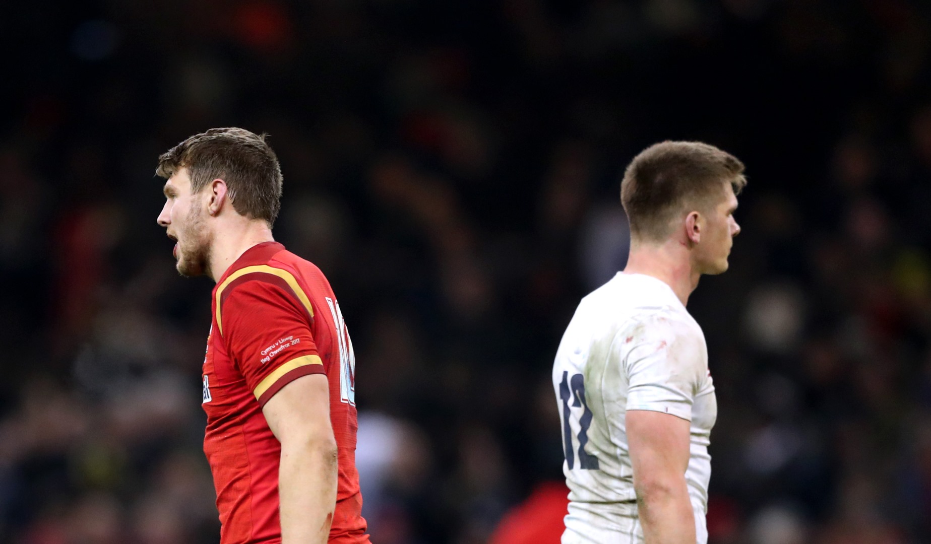 LionsWatch: Focus on fly-halves