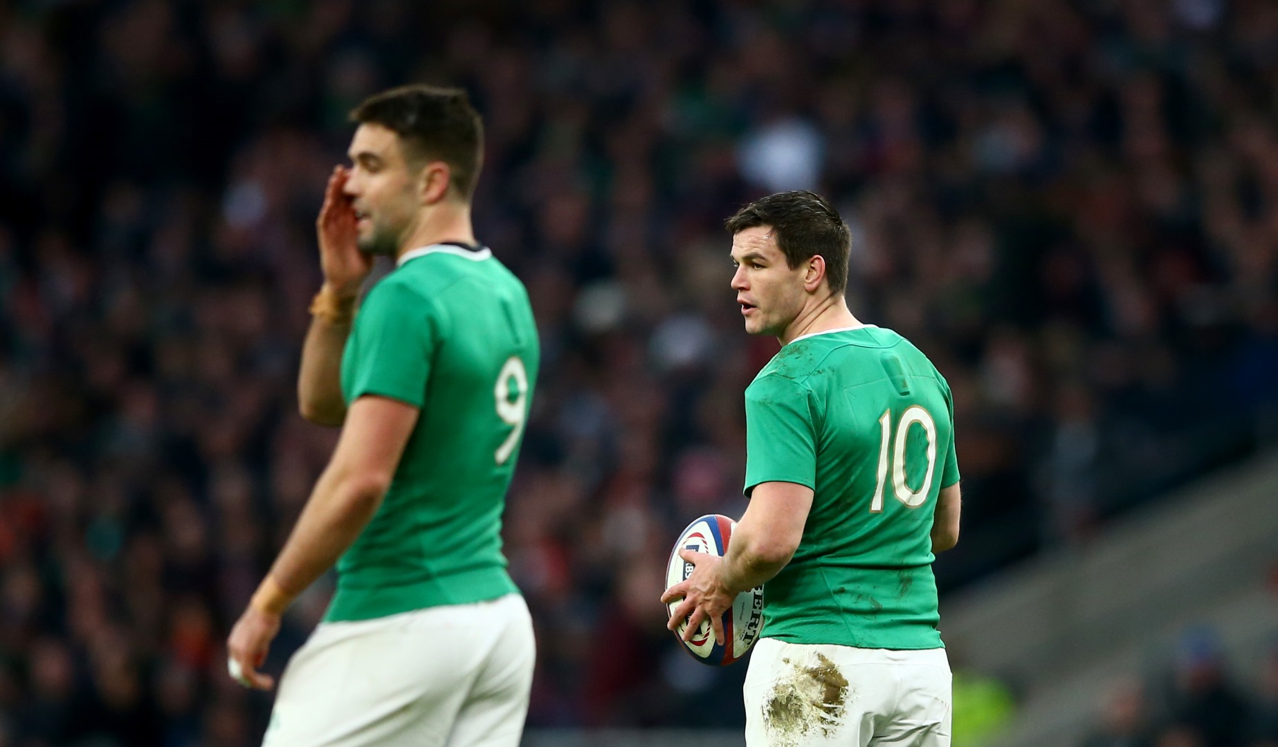 LionsWatch: Ireland v France preview