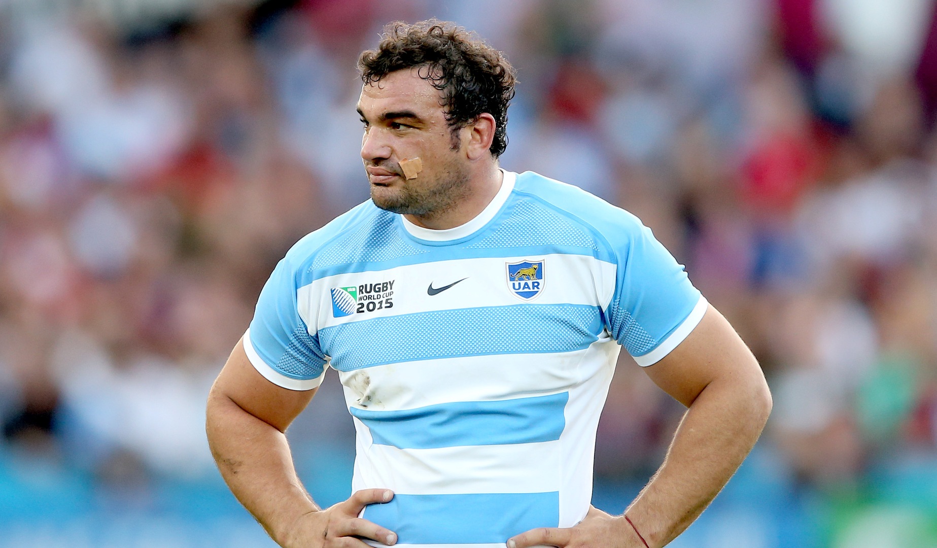 Lions Scout: Pumas bring down the Boks