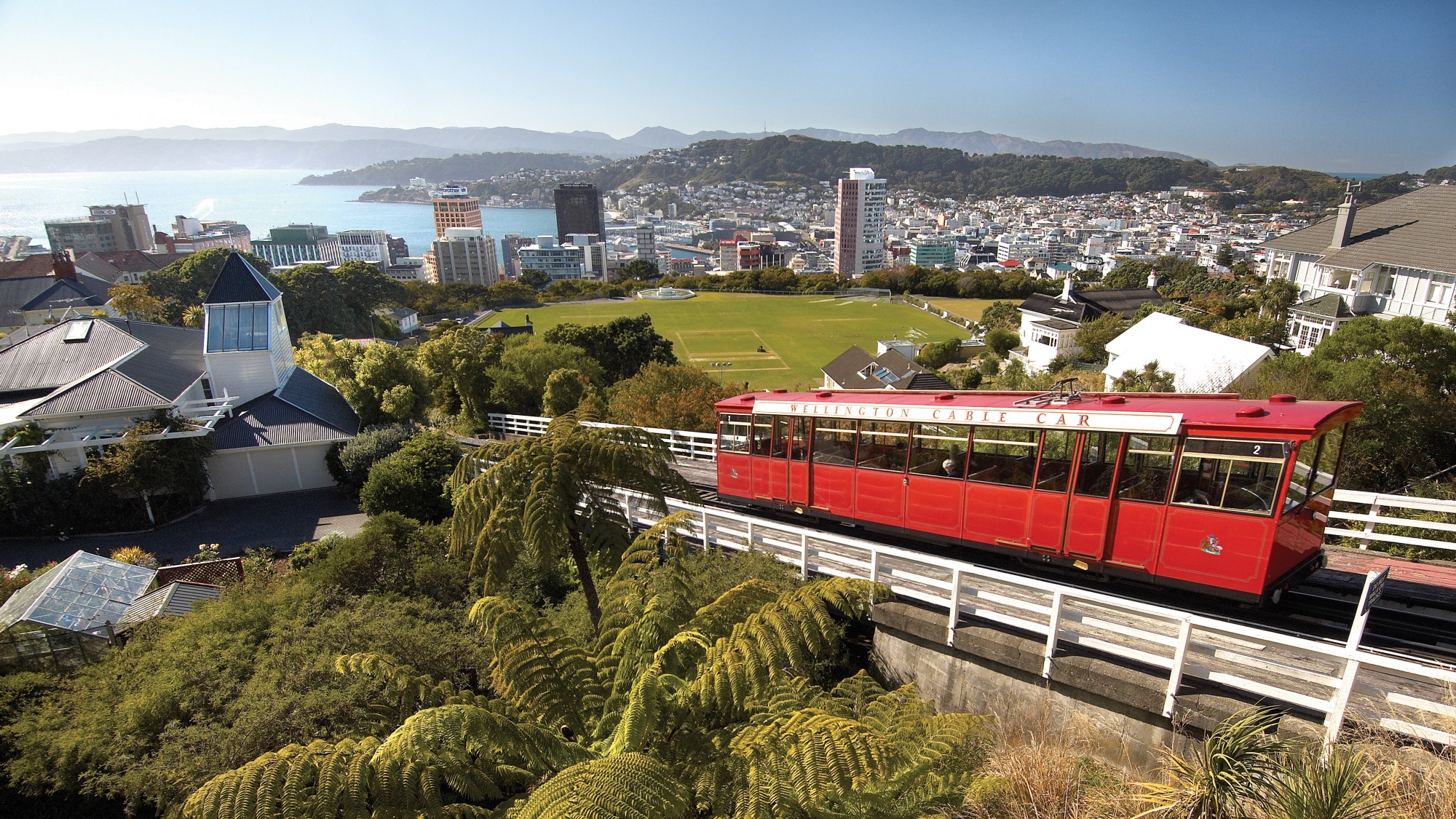 British & Irish Lions in Wellington