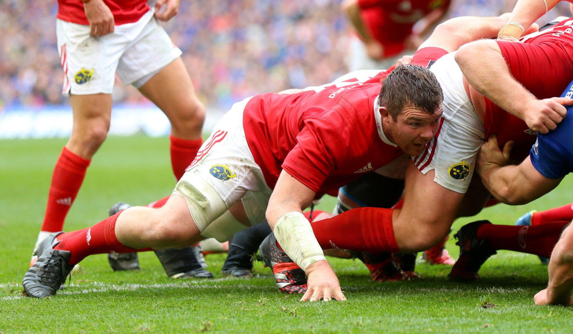 LionsWatch: European Champions Cup Round 1