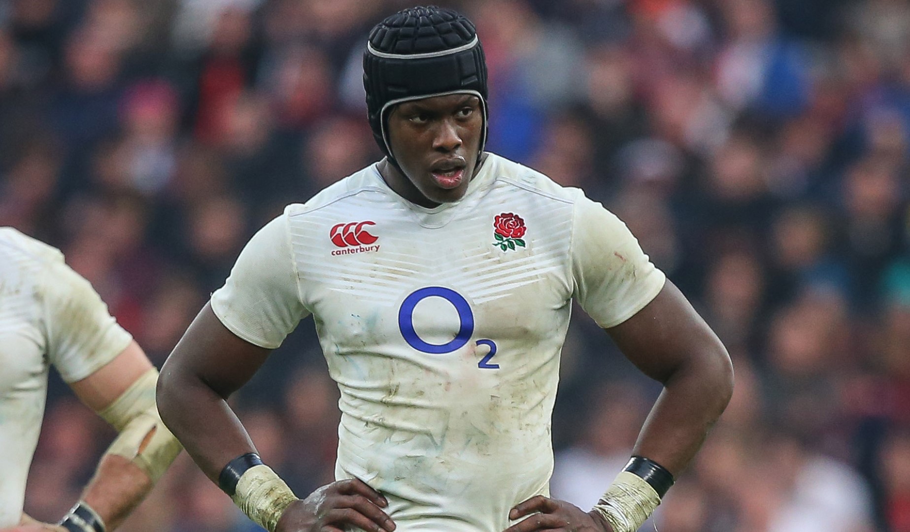 LionsWatch: England v France preview