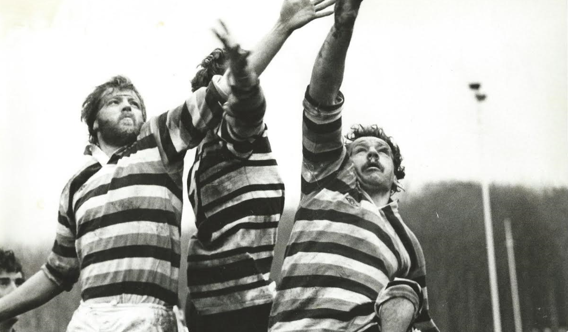 Your Club Your Lions: Fylde RFC