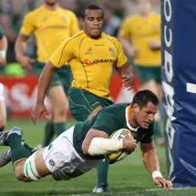 Wallabies not tough enough