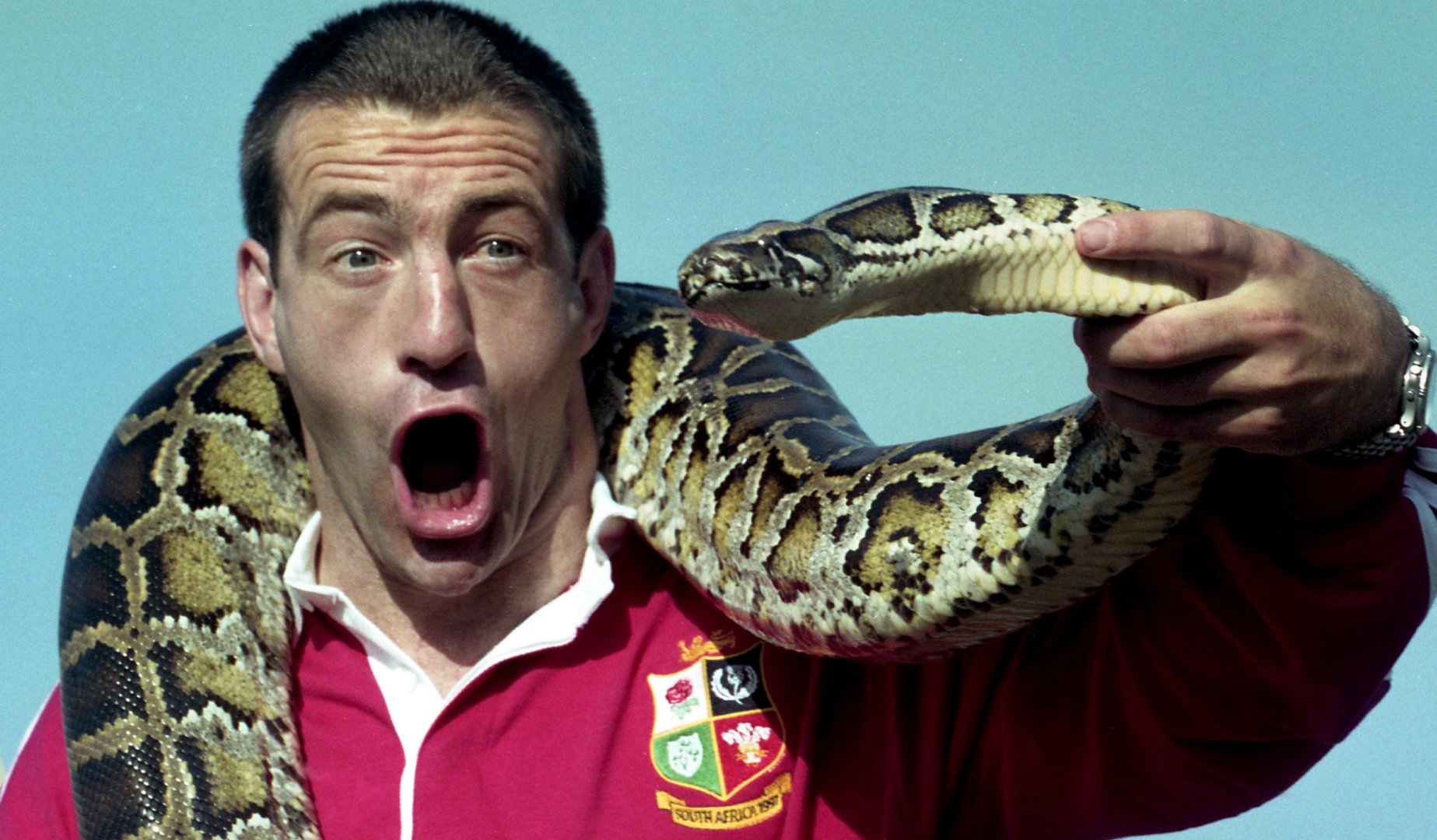 Lions will not be the only wildlife in New Zealand