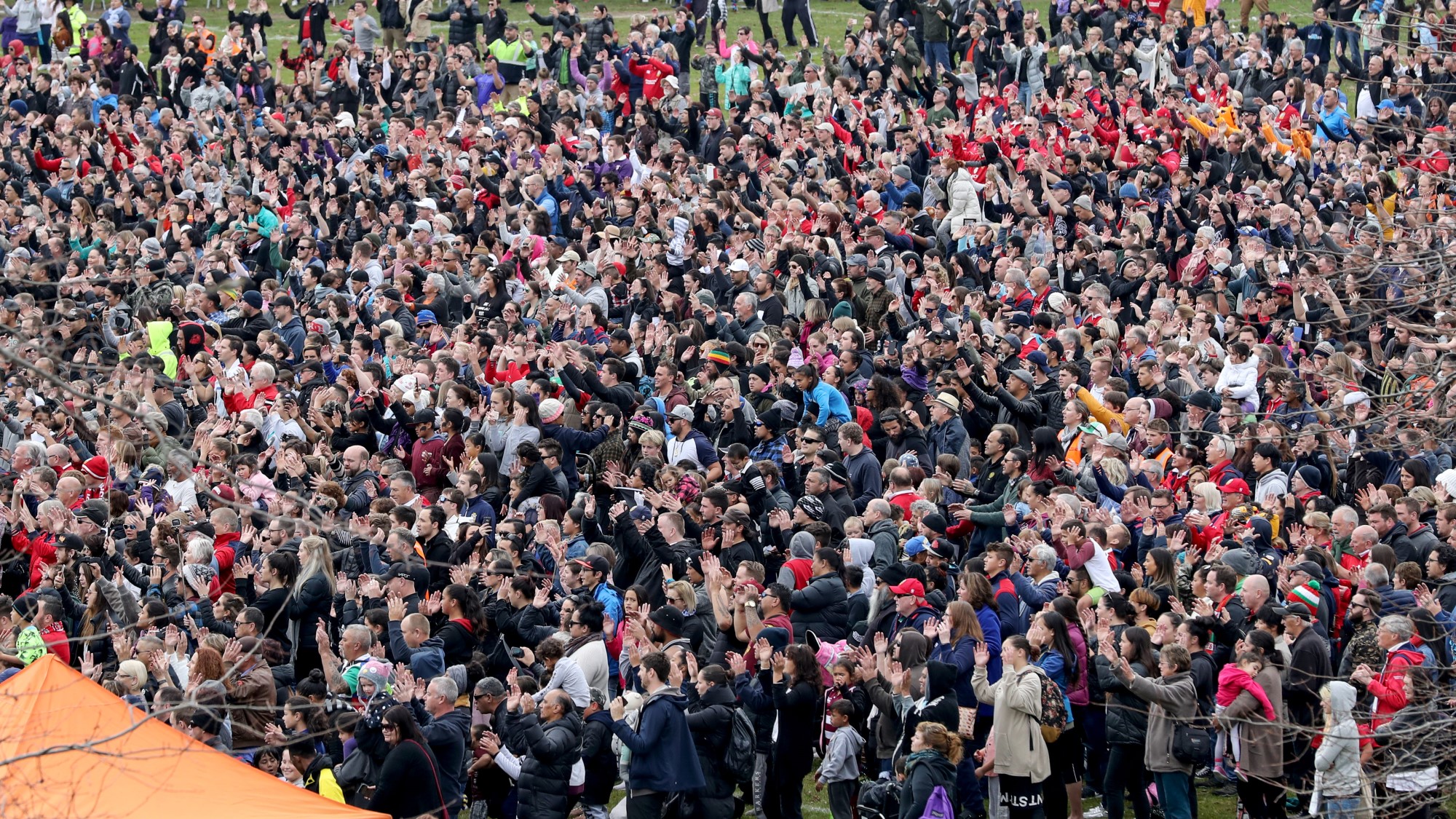 Lions fans take part in world record haka bid