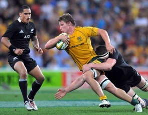 Wallabies can shine week after week