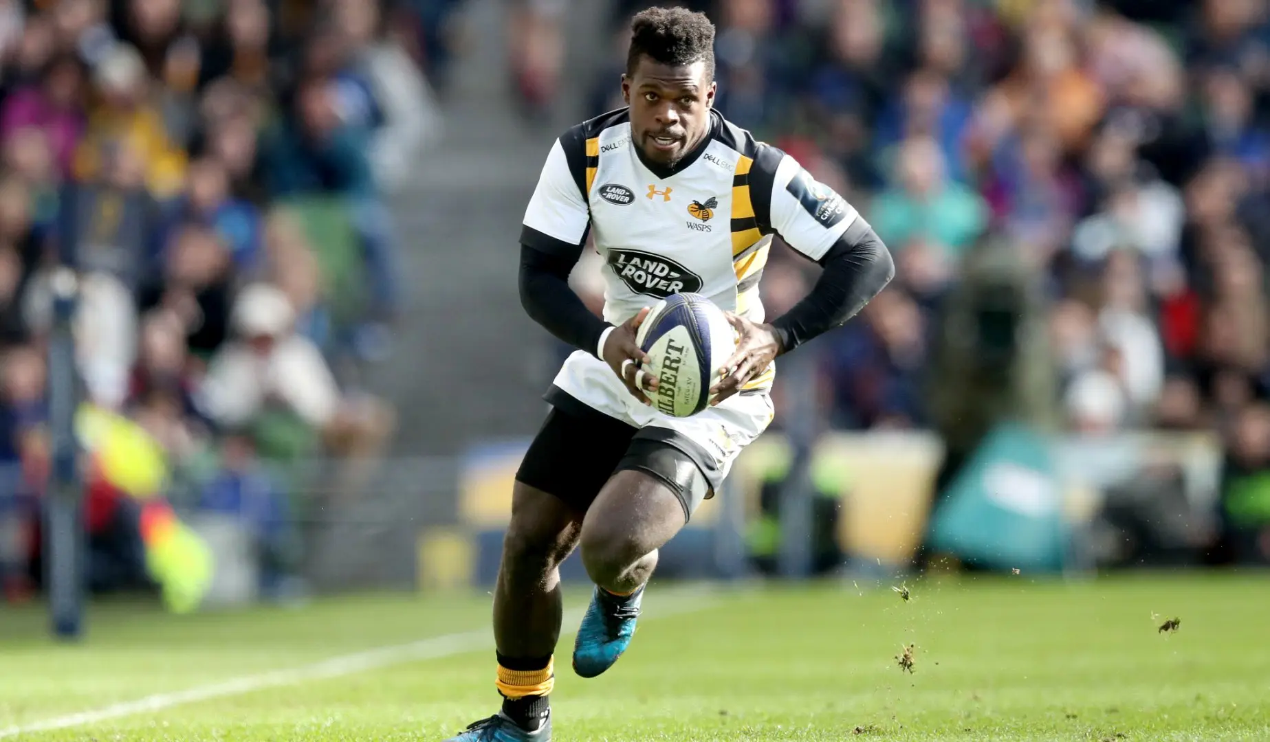 LionsWatch: Wasps' Wade celebrates century in style
