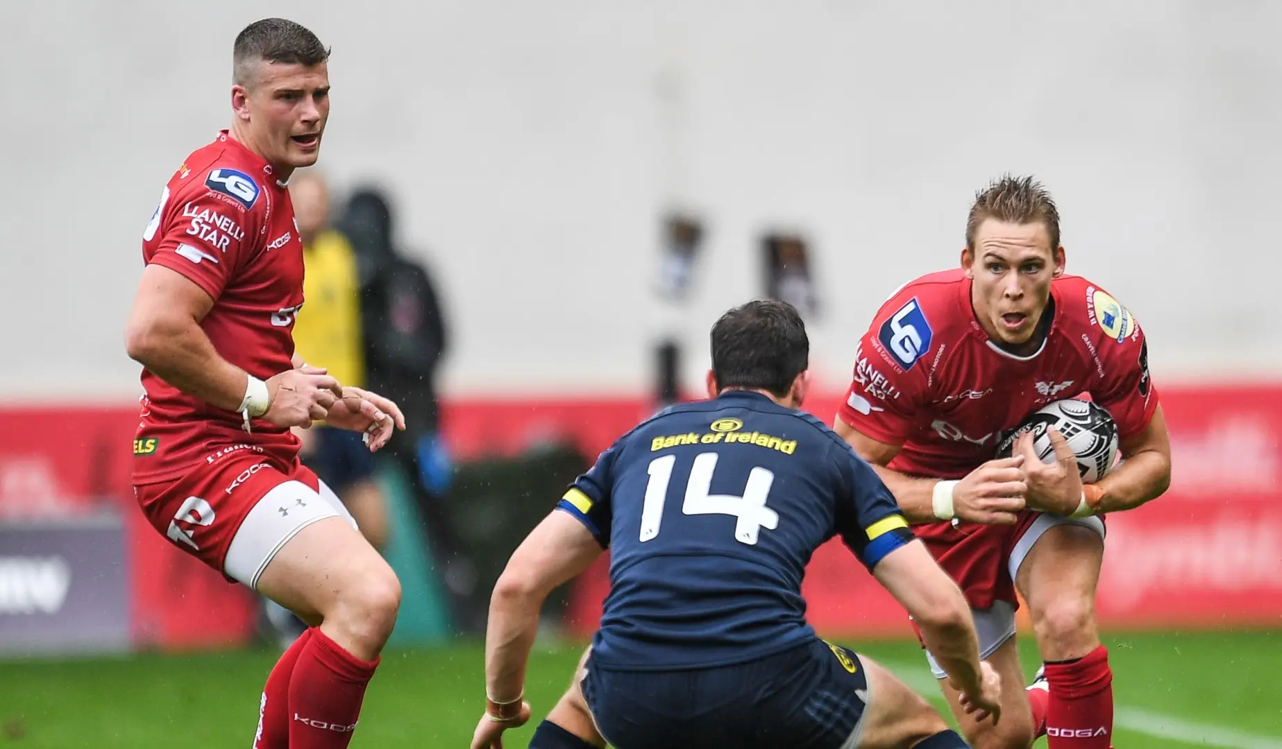LionsWatch Club Profile: Scarlets