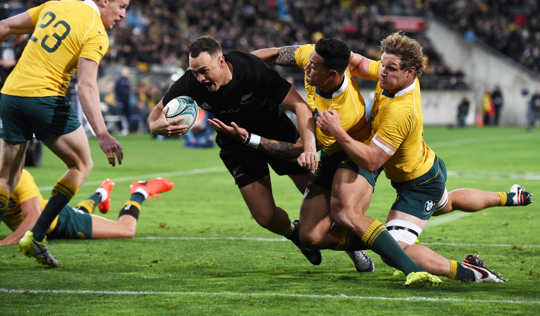 Cheika hopes Hodge can derail All Blacks history tilt