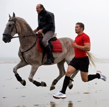 Halfpenny v Horse
