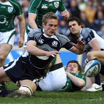 Lion ready for return