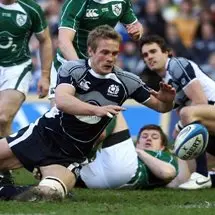 Lion ready for return