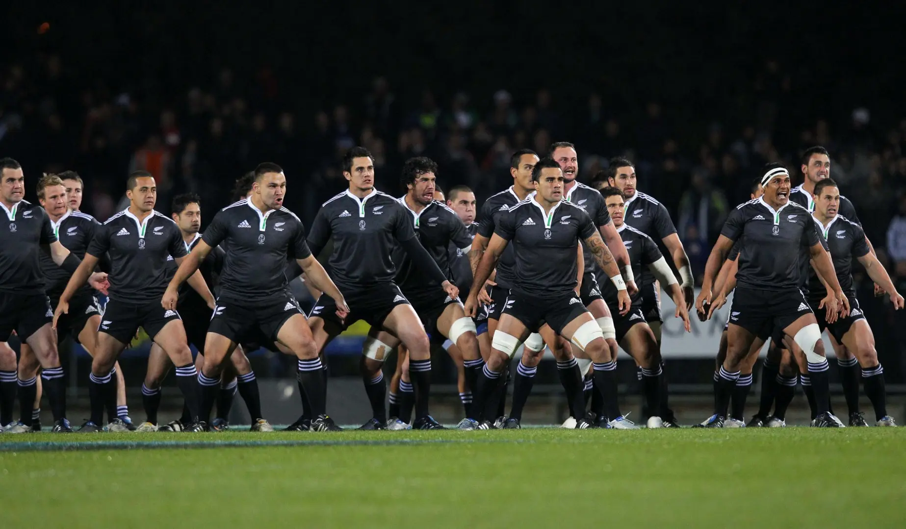 Cooper Reappointed as Maori Coach