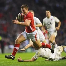 Williams targets Wallabies scalp