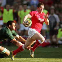 Lions join forces with Boks