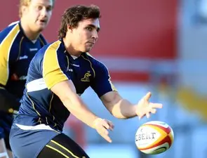 Lions lead to Melbourne's big year