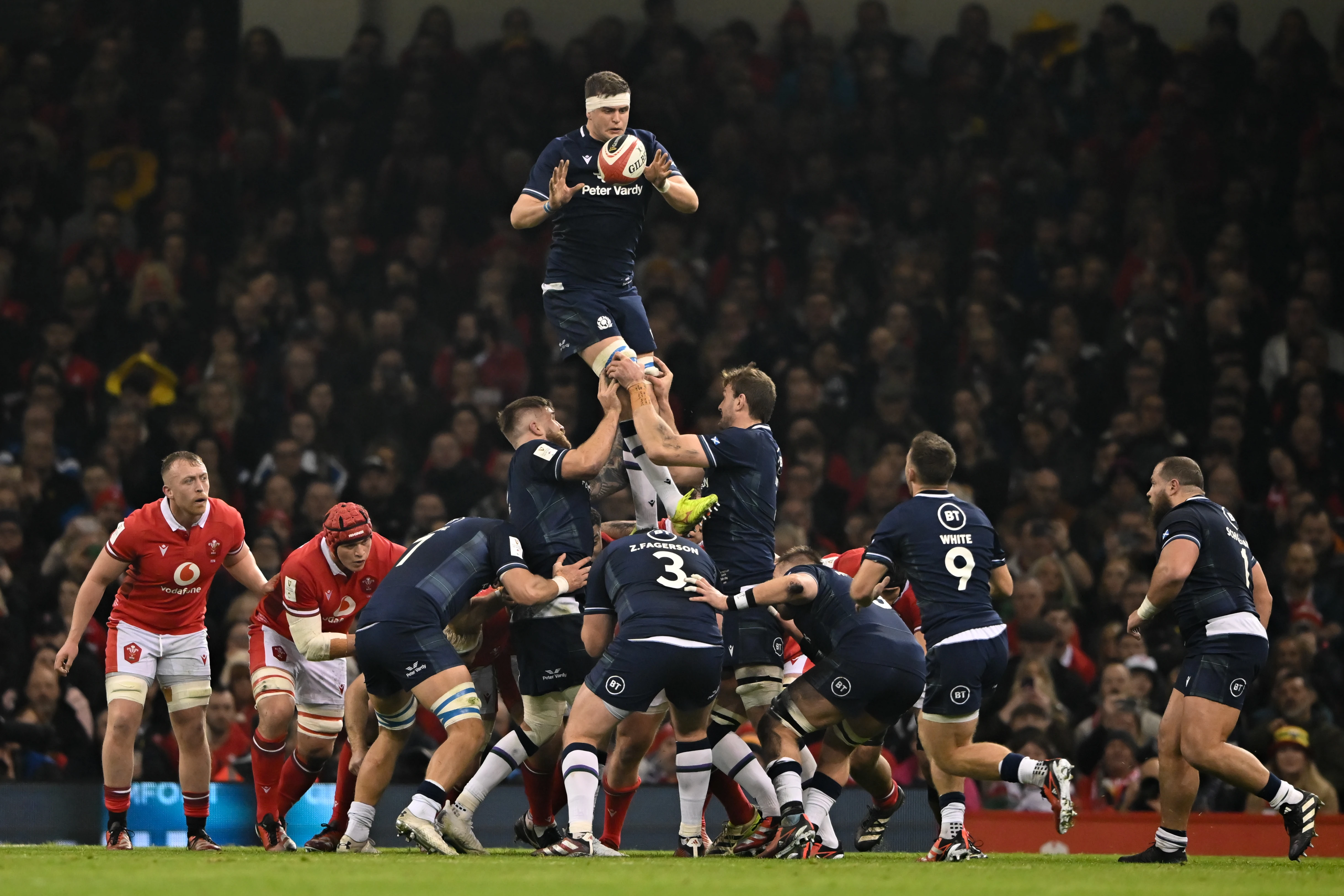 Scott Cummings Scotland